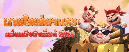 คืนยอดเสีย VIP รายวัน promotion banner