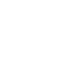 em99slot Logo